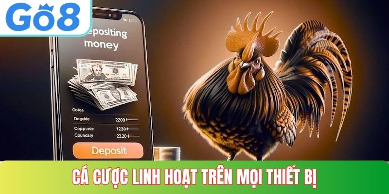 Cá cược tại GO8 linh hoạt trên mọi thiết bị