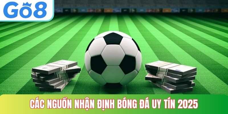 Các nguồn nhận định bóng đá uy tín 2025