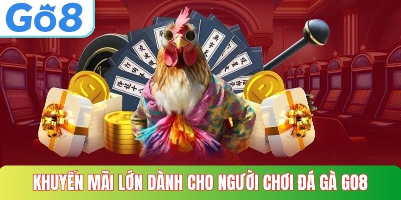 Khuyến mãi lớn dành cho người chơi đá gà GO8