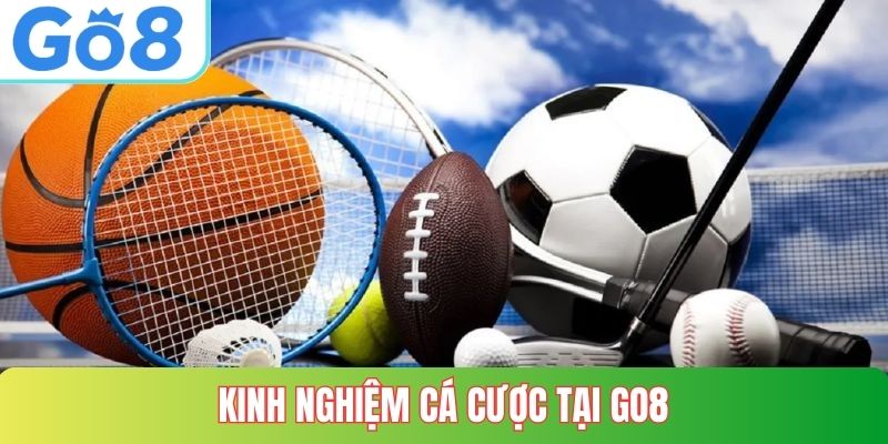 Kinh nghiệm cá cược tại GO8