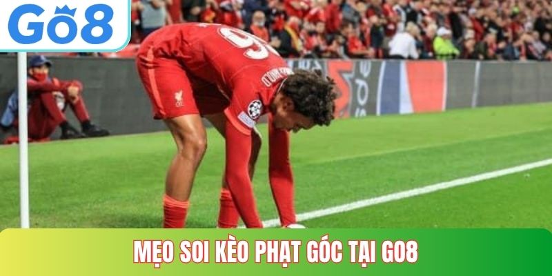 Mẹo soi kèo phạt góc tại GO8